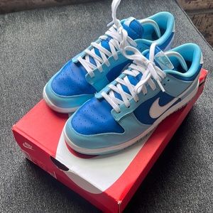 Nike Dunk Low Argon Blue Size 9.5